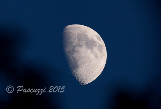 8 Day Old Waxing Gibbous Moon - 7/25/15